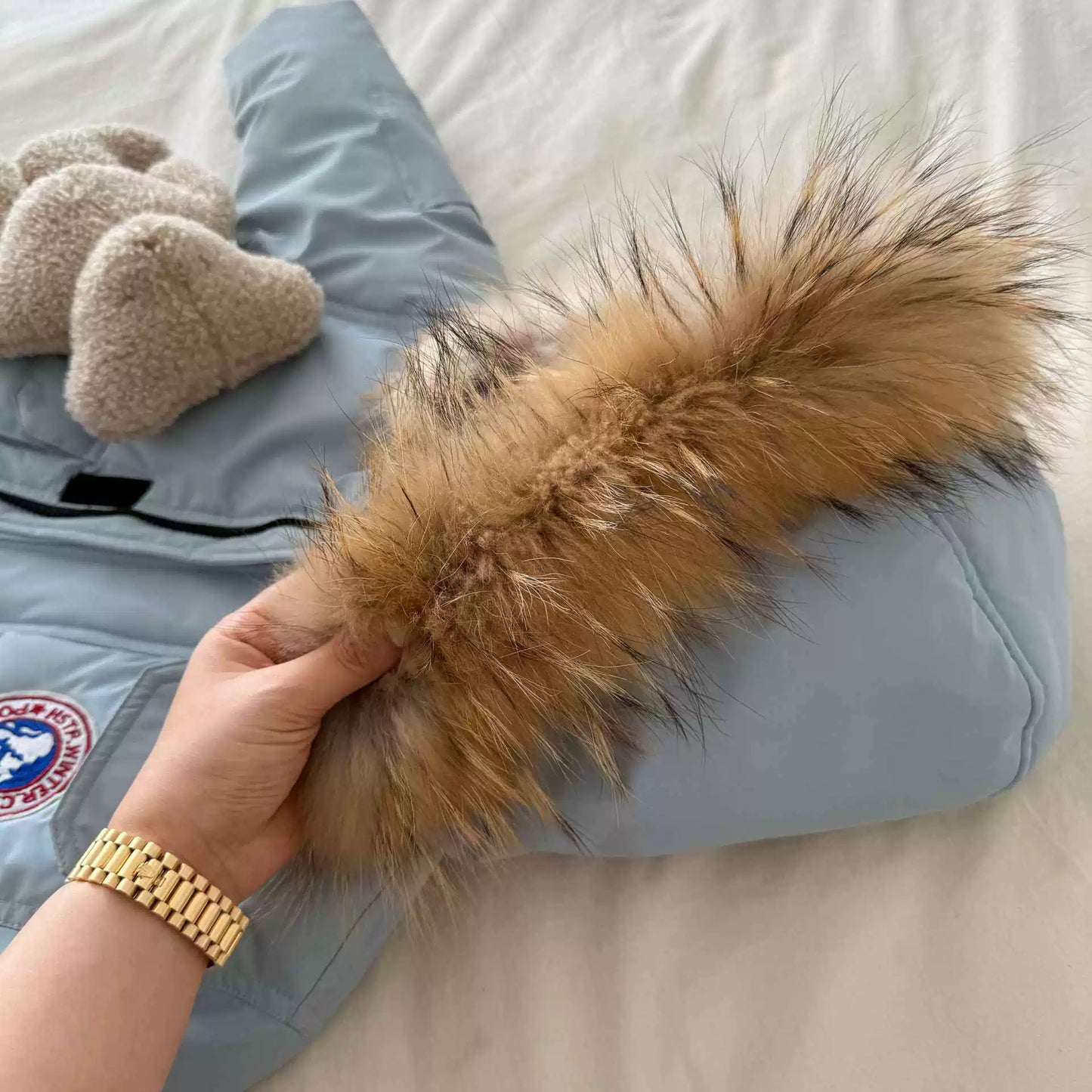 Polar Expedition Parka